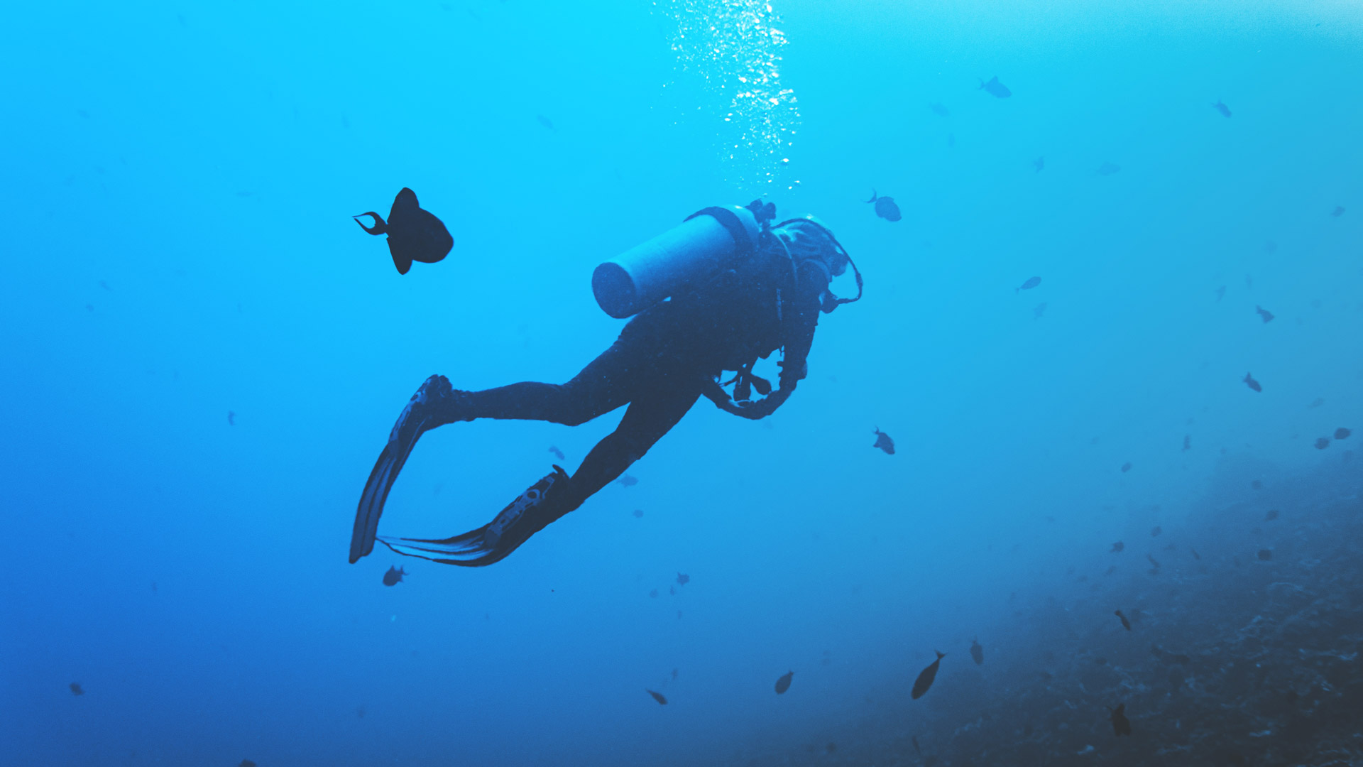 Scuba Diving Glossary